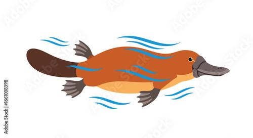 A Playful Platypus Illustration Swimming Joyfully in Water with Blue Waves Emphasizing Aquatic Habitat