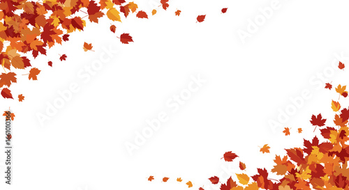 Beautifully illustrated autumn leaves falling and scattered across a clean white background creating a festive seasonal frame decoration
