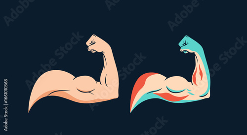 Visualizing muscle anatomy and strength progression through arm flexing illustrations