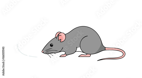 Cartoon illustration featuring a gray mouse standing on a white background looking inquisitively sniffing the air around it