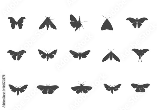 Moth Svg, Moth Silhouette, Butterfly Moth Svg, Moth Flying Silhouette, Moth Flying Svg, Butterfly Moth Svg.
