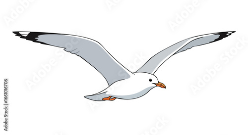 Cartoon Seagull Gliding Effortlessly with Open Wings Against a Clear White Backdrop