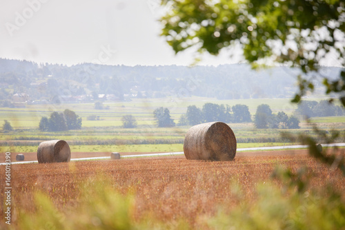 Round bales of hay on a field a misty autumn day with a landscape in the background