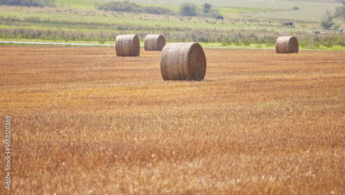 Round bales of hay on a field a misty autumn day with a landscape in the background