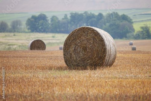 Round bales of hay on a field a misty autumn day with a landscape in the background