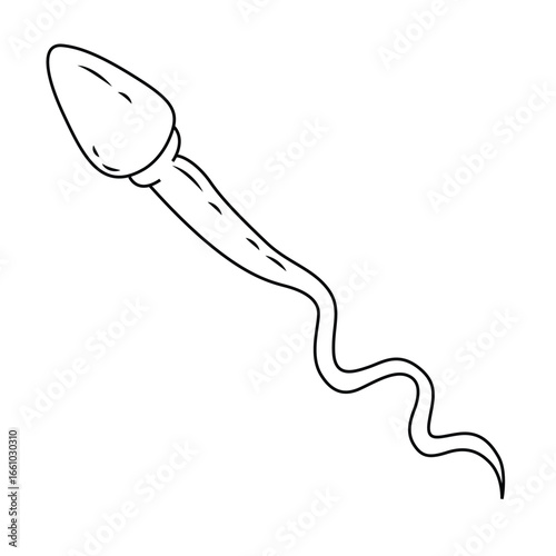 Science of hand drawn vector Sperm outline.