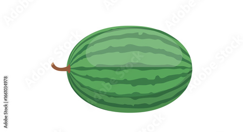 Illustration of a Fresh and Juicy Watermelon with Green Rind and Stripes Isolated on a White Background