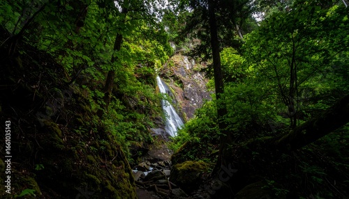 Lush waterfall cascading down a rocky face in a dense forest