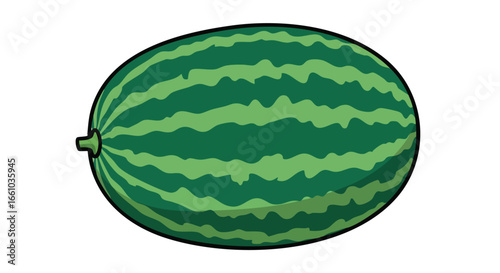 Isolated illustration of a striped watermelon against a white background showing a healthy and refreshing fruit with bright green skin