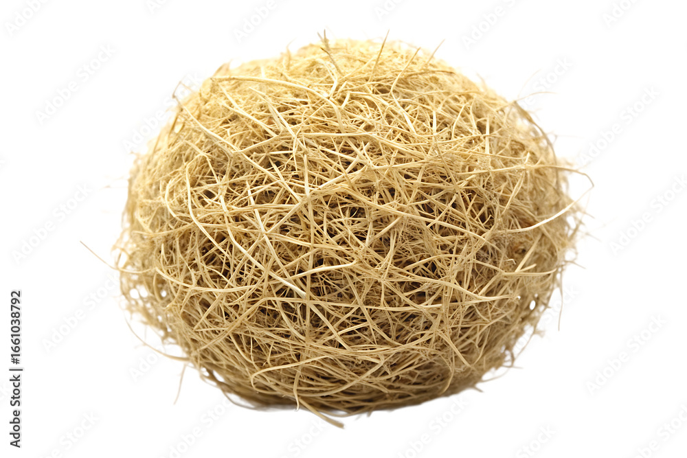 Obraz premium desert tumbleweed isolated on white background, png, ai generated.