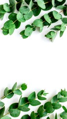 Eucalyptus sprigs frame a white background, creating a simple, elegant design