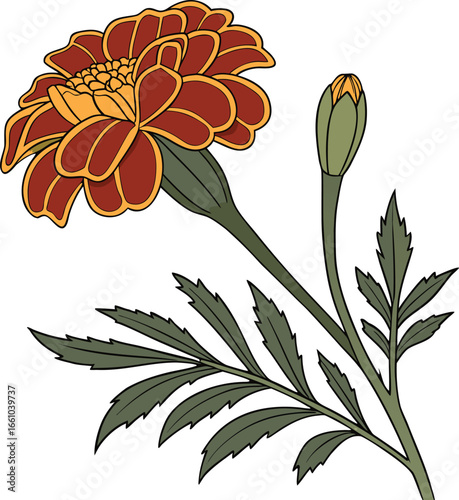 Vibrant single marigold flower illustration with a bright cheerful aesthetic perfect for floral designs and nature themed projects