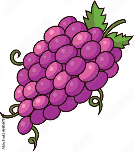 vector illustration Cluster of Juicy Purple Grapes with Green Leaves and Tendrils