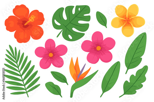Set of bright tropical flowers and leaves. Vector collection of exotic floral elements. Hibiscus, plumeria, monstera, palm leaf for summer design. Botanical jungle illustration.