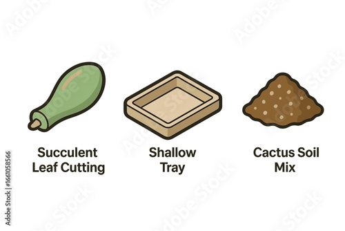 Succulent care icon set for plant propagation. Isometric flat vector illustration of a leaf cutting, shallow tray, and cactus soil mix. Gardening and horticulture concept.