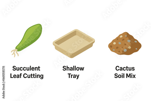 Succulent care and propagation icon set. Isometric vector graphics showing a rooted succulent leaf cutting, shallow planting tray, and special cactus soil mix for horticulture.
