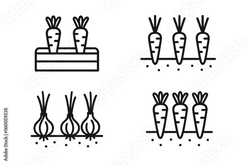 Carrot and onion garden icon set. Vector outline illustration of raised bed, row planting, and companion planting concepts. Farming, agriculture, and growing food symbols.