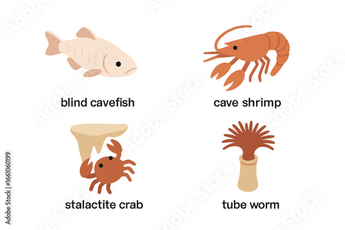 Isometric vector set of blind cavefish, cave shrimp, stalactite crab, and tube worm. Cave-dwelling marine life icons. Underwater animals, deep sea creatures, aquatic wildlife, isolated illustrations.