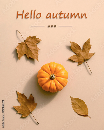 Minimalist autumn flat lay with small pumpkin, dry leaves, warm earthy tones, soft shadows and copy space, elegant seasonal  background.