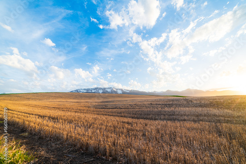 Early Brown Fields Meet Beautiful Blue Skies