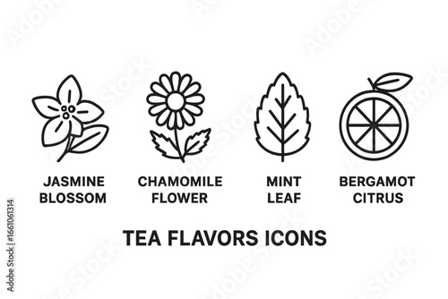 Outline Tea Flavors Icons Collection. Vector Set of Herbal Infusions: Jasmine Blossom, Chamomile Flower, Mint Leaf, Bergamot Citrus. Botanical, Café, Drink, Tea Label, Menu Design.