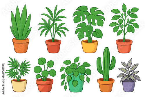 Indoor houseplants collection vector illustration. Diverse cartoon potted plants, succulents, foliage greenery, lush leaves in colorful containers. Botanical home decor, gardening, nature concept art.