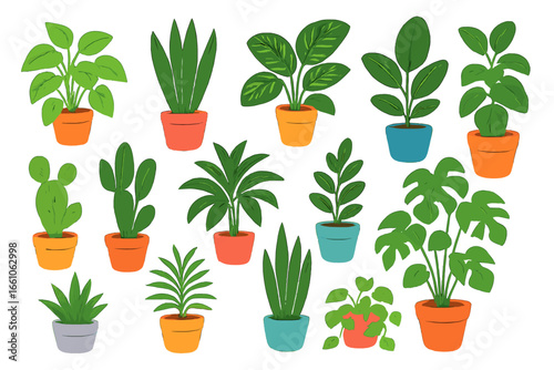 Indoor houseplants collection in vibrant pots on white background. Diverse botanical species, green foliage, home decor, gardening variety. Cartoon vector illustration for gardening, interior design.