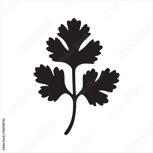 Silhouette coriander cilantro herb single black vector Illustrator