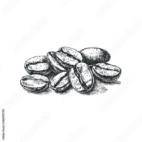 Bunch of Coffee Beans with Detailed Texture