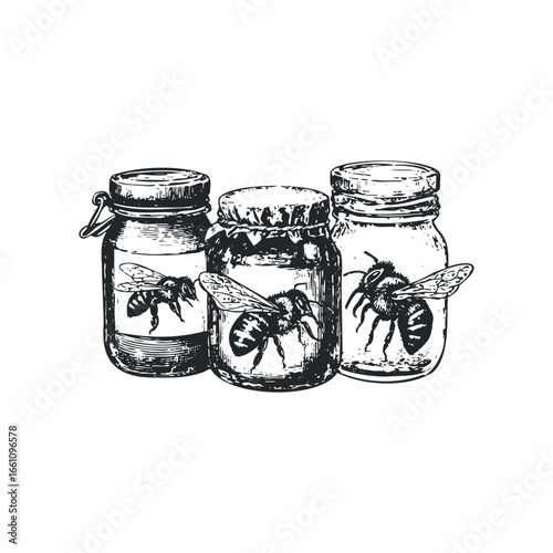 Three jars of honey with bees, black and white vintage sketch