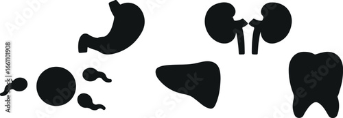 Cow Print Vector Silhouettes – Animal Skin Pattern Icons, Cattle Spot Illustration, Farm Animal Print Vector, Decorative Pattern Shapes, Cow Hide Clipart, Animal Print Silhouette Pack, Dairy Cow Skin 