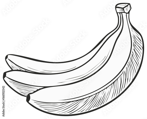 Three Bananas Hand Drawn Outline Illustration, Simple Doodle Style Design of Ripe Tropical Fruit Bunch