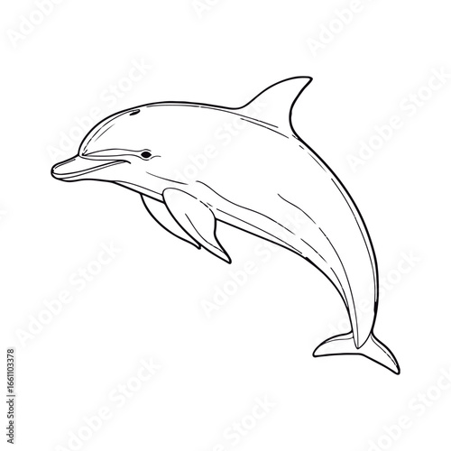 Coloring book for children baby Wholphin vector illustration isolated on a white background.
