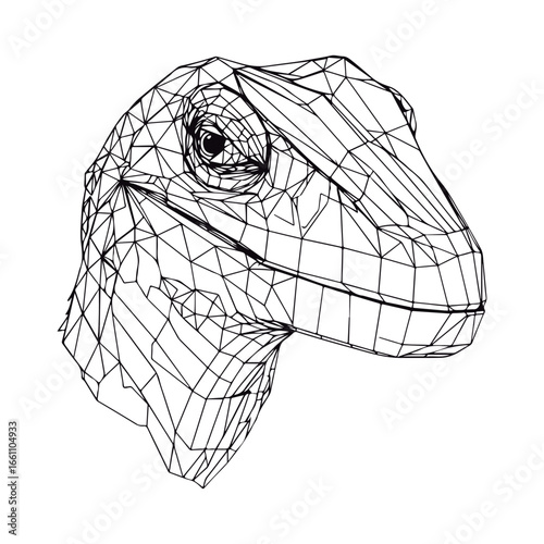 Coloring book for children Basilisk Black and white vector illustration.