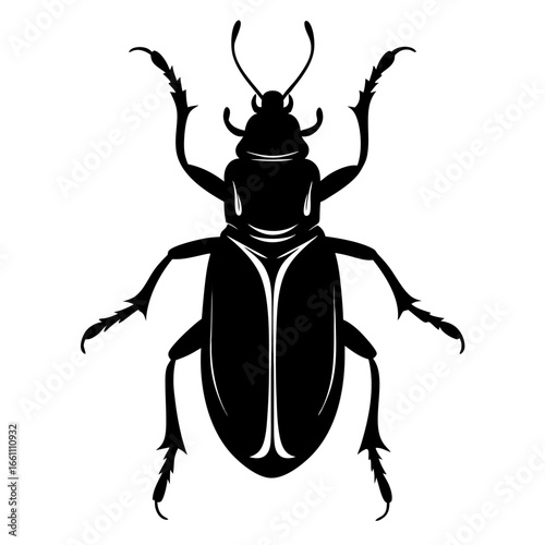 Black silhouette of a blister beetle isolated on white background