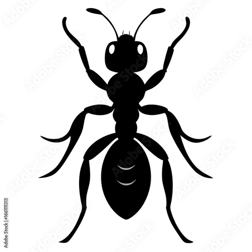 Black silhouette of a fire ant insect isolated on white background