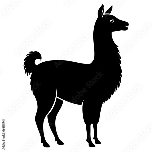 Black silhouette of a llama standing proudly isolated on white background