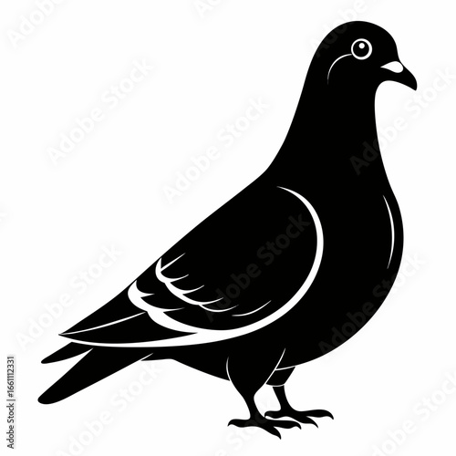 Black silhouette of a pigeon flying isolated on white background