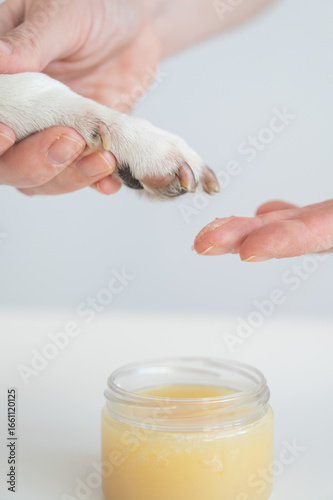 The owner puts wax on the dog's paws. 