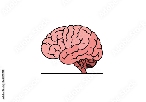 Isolated Simple Cartoon Illustration of the Human Brain