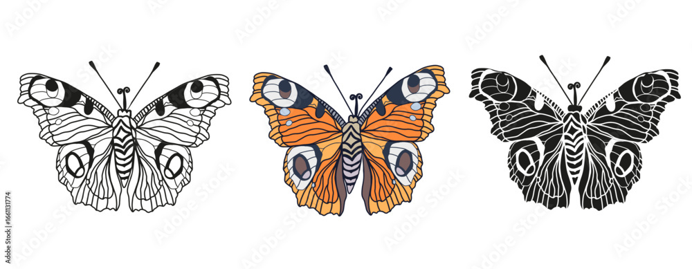 Obraz premium Monarch butterflies set Vector hand drawn bug insect illustration isolated on white background