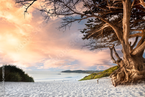 Tableau sur toile Carmel-by-the-Sea California sand beach Pacific Ocean coast Monterey