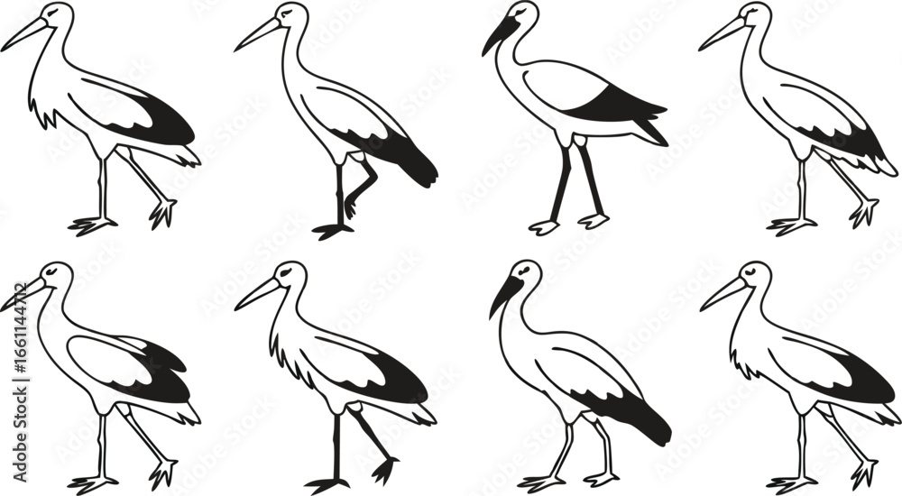 Fototapeta premium Elegant storks depicted in graceful walking poses, showcasing natural avian beauty and movement for design