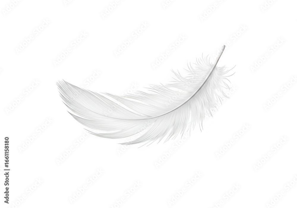 Fototapeta premium A single white feather isolated on transparent background