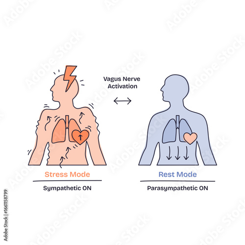 Breathing techniques help shift the body from stress mode to rest mode, highlighting lungs, heart, and nervous system. Doodle style diagram