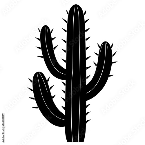 cactus vector illustration
