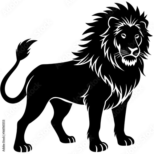 black lion vector illustration