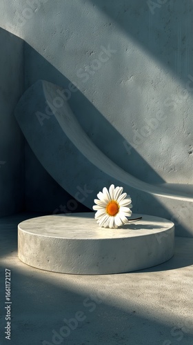 White Daisy Placed on a Circular Concrete Pedestal Under Soft Sunlight in a M...