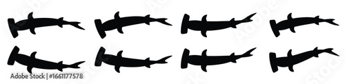 Hammerhead shark school swimming in curve ocean predator