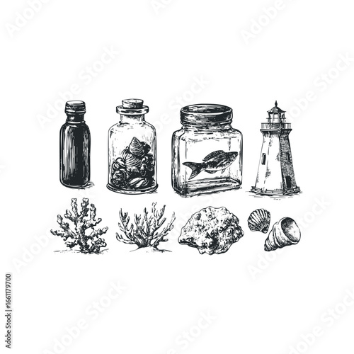Collection of nautical items including bottles with sea life, coral, and lighthouse